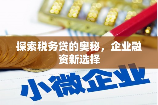 瑶海探索税务贷的奥秘，企业融资新选择