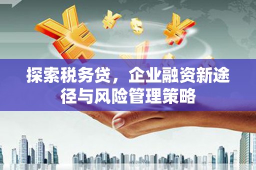 瑶海探索税务贷，企业融资新途径与风险管理策略