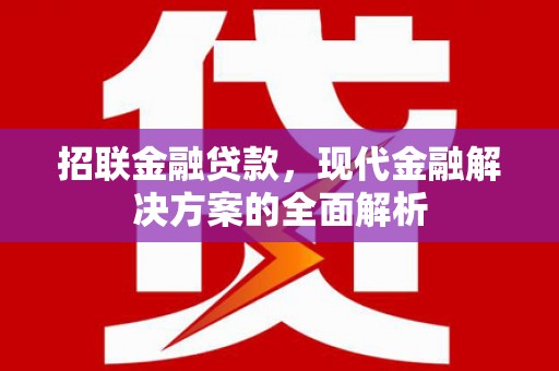 瑶海招联金融贷款，现代金融解决方案的全面解析