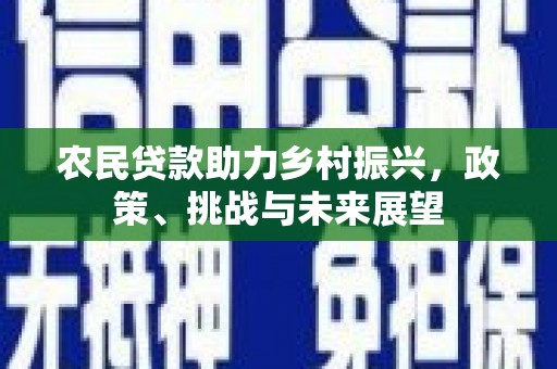 瑶海农民贷款助力乡村振兴，政策、挑战与未来展望