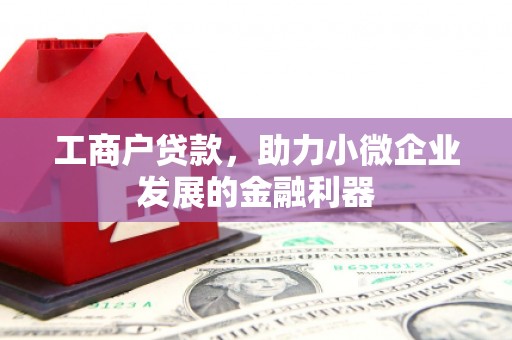 瑶海工商户贷款，助力小微企业发展的金融利器
