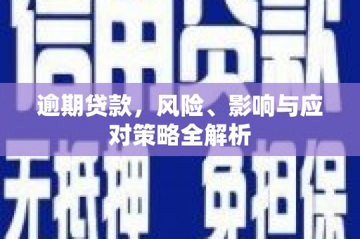 瑶海逾期贷款，风险、影响与应对策略全解析