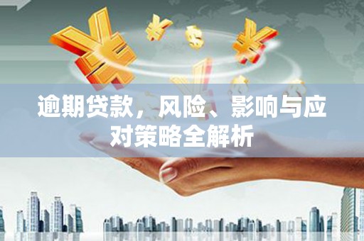 瑶海逾期贷款，风险、影响与应对策略全解析