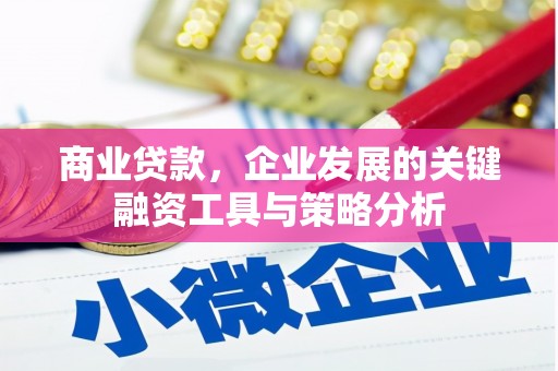 瑶海商业贷款，企业发展的关键融资工具与策略分析