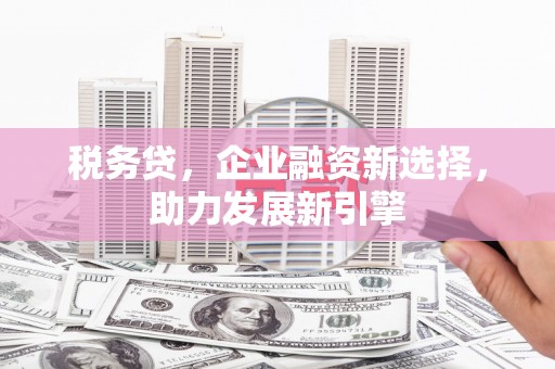 瑶海税务贷，企业融资新选择，助力发展新引擎