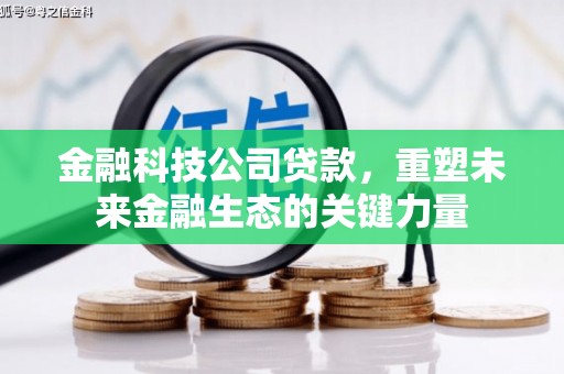 瑶海金融科技公司贷款，重塑未来金融生态的关键力量