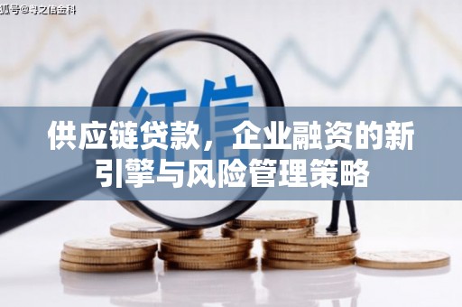 瑶海供应链贷款，企业融资的新引擎与风险管理策略