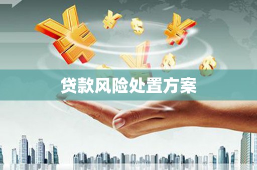 瑶海贷款风险处置方案