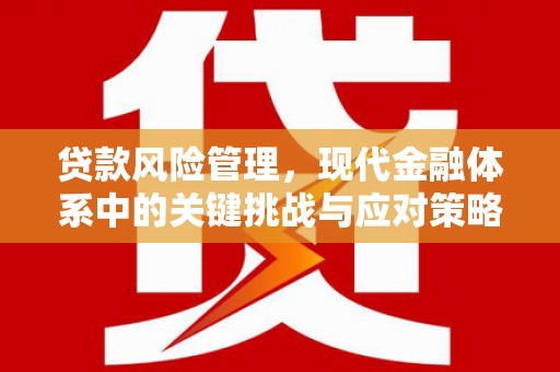 瑶海贷款风险管理，现代金融体系中的关键挑战与应对策略