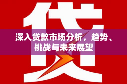 瑶海深入贷款市场分析，趋势、挑战与未来展望