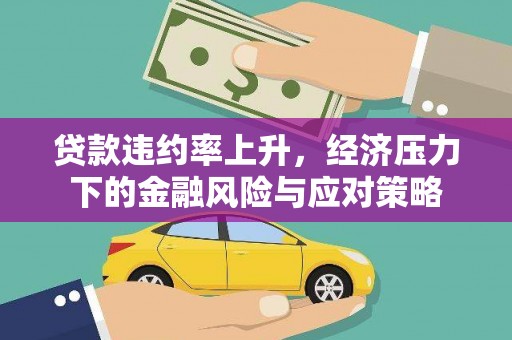 瑶海贷款违约率上升，经济压力下的金融风险与应对策略