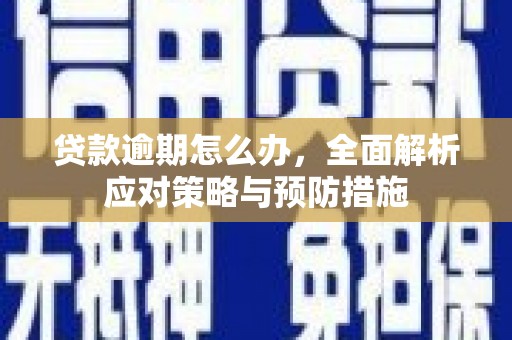 瑶海贷款逾期怎么办，全面解析应对策略与预防措施