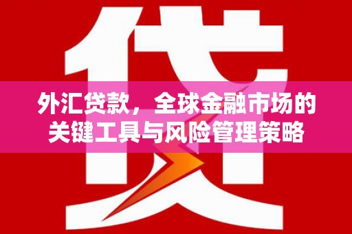 瑶海外汇贷款，全球金融市场的关键工具与风险管理策略