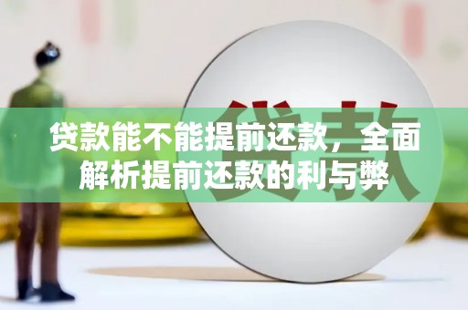 瑶海贷款能不能提前还款，全面解析提前还款的利与弊