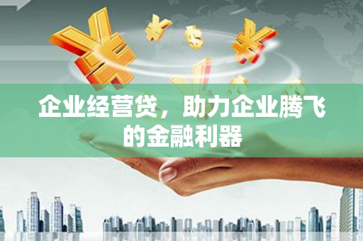 瑶海企业经营贷，助力企业腾飞的金融利器
