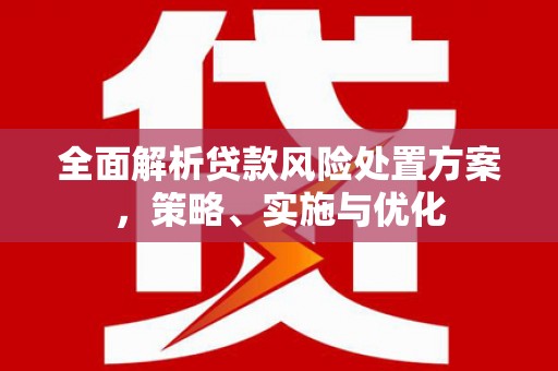 瑶海全面解析贷款风险处置方案，策略、实施与优化
