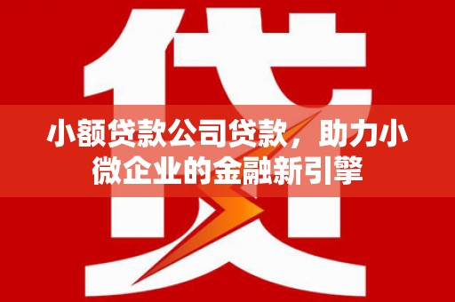 瑶海小额贷款公司贷款，助力小微企业的金融新引擎