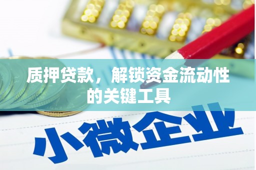 瑶海质押贷款，解锁资金流动性的关键工具