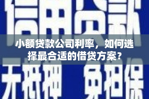 瑶海小额贷款公司利率，如何选择最合适的借贷方案？