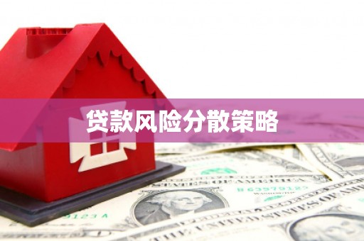 瑶海贷款风险分散策略