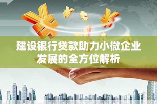 瑶海建设银行贷款助力小微企业发展的全方位解析