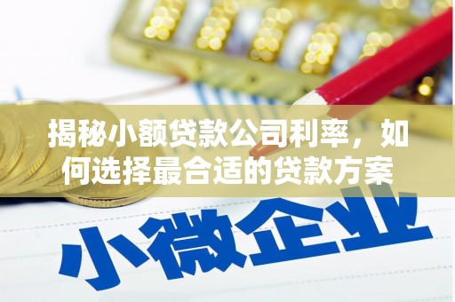 瑶海揭秘小额贷款公司利率，如何选择最合适的贷款方案