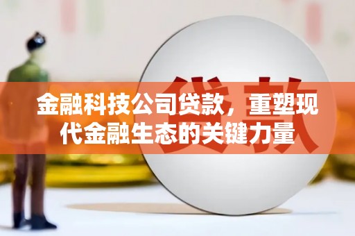 瑶海金融科技公司贷款，重塑现代金融生态的关键力量