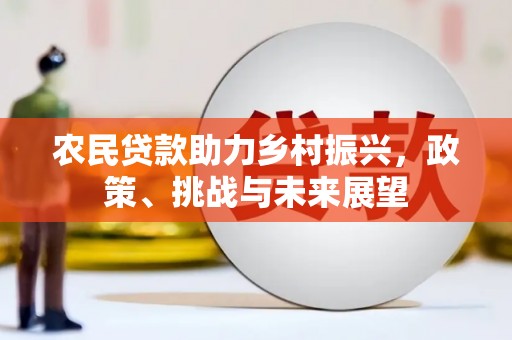 瑶海农民贷款助力乡村振兴，政策、挑战与未来展望