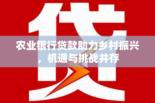瑶海农业银行贷款助力乡村振兴，机遇与挑战并存