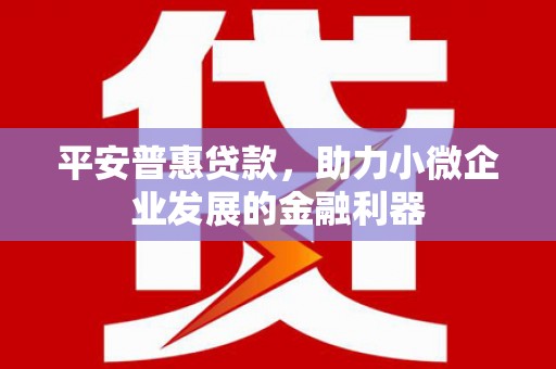 瑶海平安普惠贷款，助力小微企业发展的金融利器