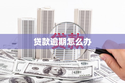瑶海贷款逾期怎么办