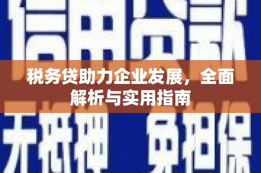 瑶海税务贷助力企业发展，全面解析与实用指南