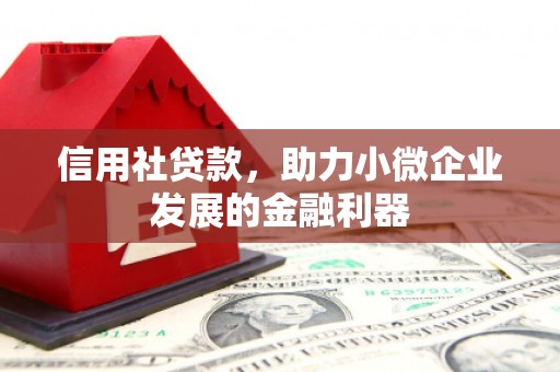 瑶海信用社贷款，助力小微企业发展的金融利器