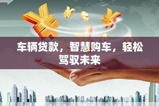 瑶海车辆贷款，智慧购车，轻松驾驭未来