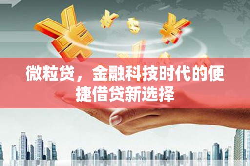 瑶海微粒贷，金融科技时代的便捷借贷新选择