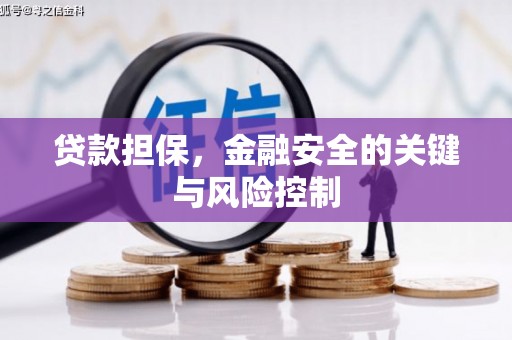瑶海贷款担保，金融安全的关键与风险控制