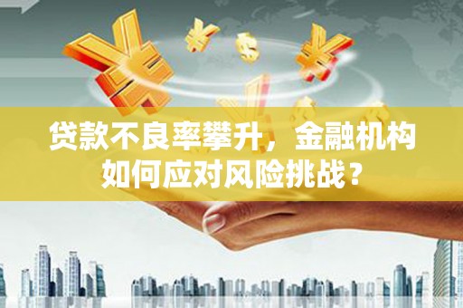 瑶海贷款不良率攀升，金融机构如何应对风险挑战？