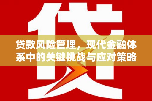 瑶海贷款风险管理，现代金融体系中的关键挑战与应对策略