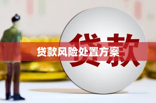 瑶海贷款风险处置方案
