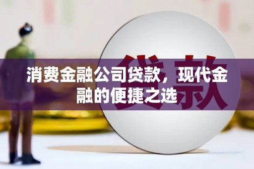 瑶海消费金融公司贷款，现代金融的便捷之选