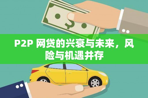 瑶海P2P 网贷的兴衰与未来，风险与机遇并存
