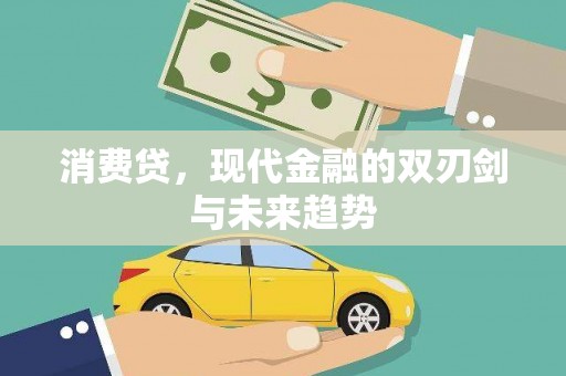 瑶海消费贷，现代金融的双刃剑与未来趋势