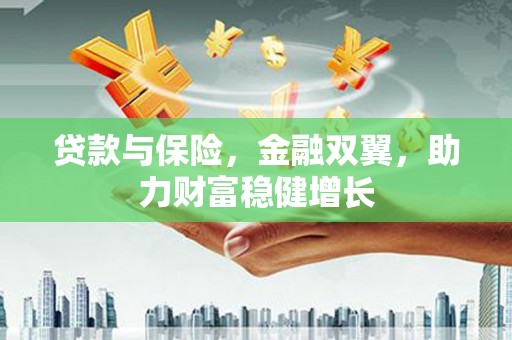 瑶海贷款与保险，金融双翼，助力财富稳健增长
