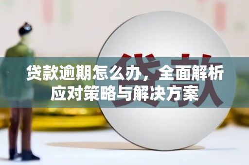 瑶海贷款逾期怎么办，全面解析应对策略与解决方案